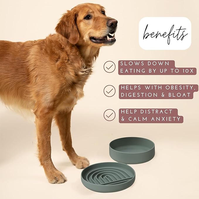 The Slowdown Bowl Silicone Slow Feeder for Dogs & Puppies, Slow Eating, Modern Lick Mat Design, Reduces Gulping, Fits 2.5 Cups 9.5” Across x 1.5” Tall, Mealtime Challenge, Large-Spruce