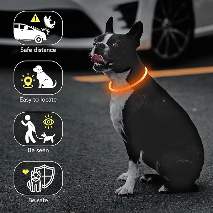 Colaseeme LED Dog Collar, Light Up Dog Collar 1 Count USB Rechargeable TPU Glow Safety Dog Necklace Light, Dog Lights for Small Medium Large Dogs, Please Do Not Use Fast Charging (Orange)
