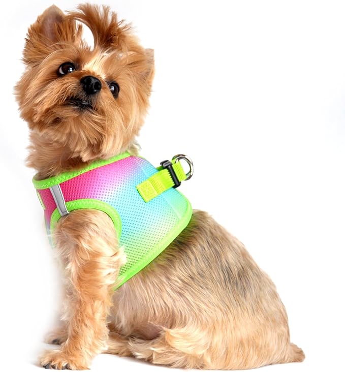 Doggie Design No Choke Dog Harness - Simple Step-in and Go Dog Vest for Small, Medium, and Large Breeds - Breathable Mesh Polyester Pet Harness - Rainbow - XXS