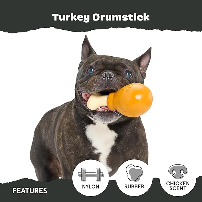 Barkbox Super Chewer Tough Dog Chew Toys for Aggressive Chewers, Dental Stimulating (Turkey - Small)