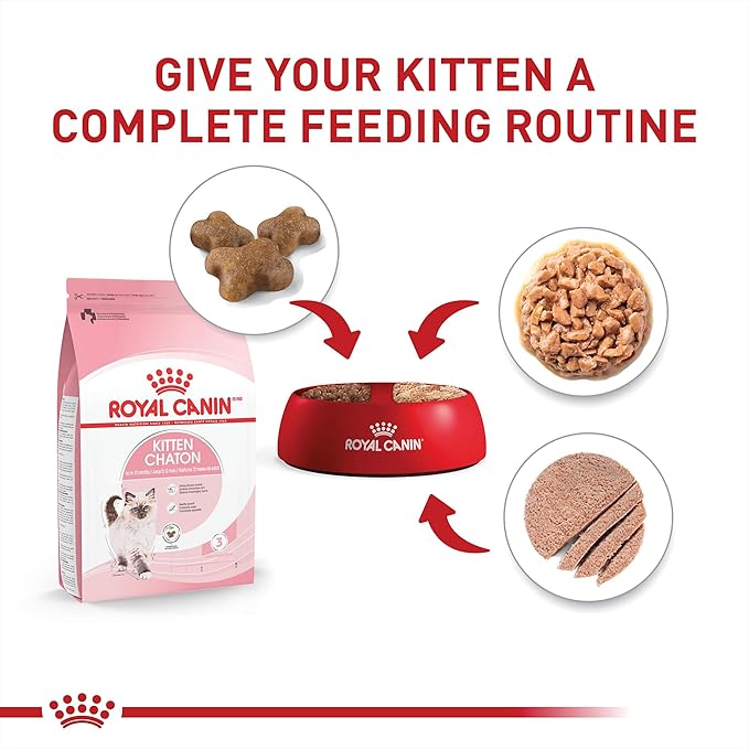 Royal Canin Feline Health Nutrition Kitten Thin Slices in Gravy and Loaf in Sauce Variety Pack Cat Food, 3 oz (Pack of 12)