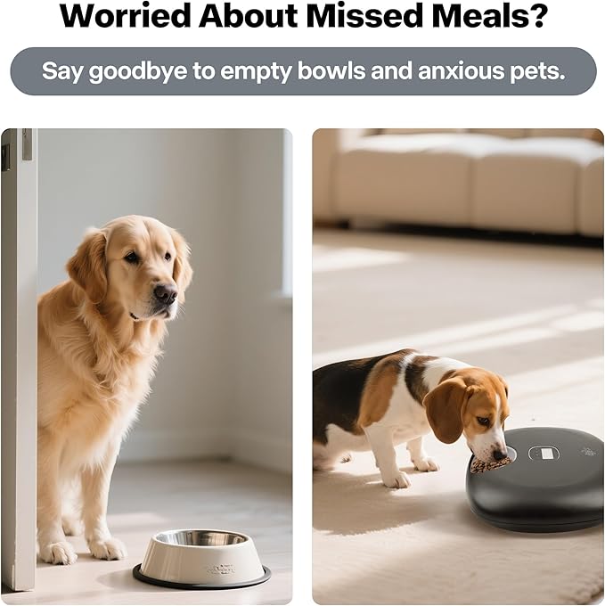 Rechargeable Automatic Timer Cat Feeder, Wet Food Auto Pet Food Dispenser for Small Dogs with Programmable Timer 8 oz per Meal, 5+1 Meals, Black