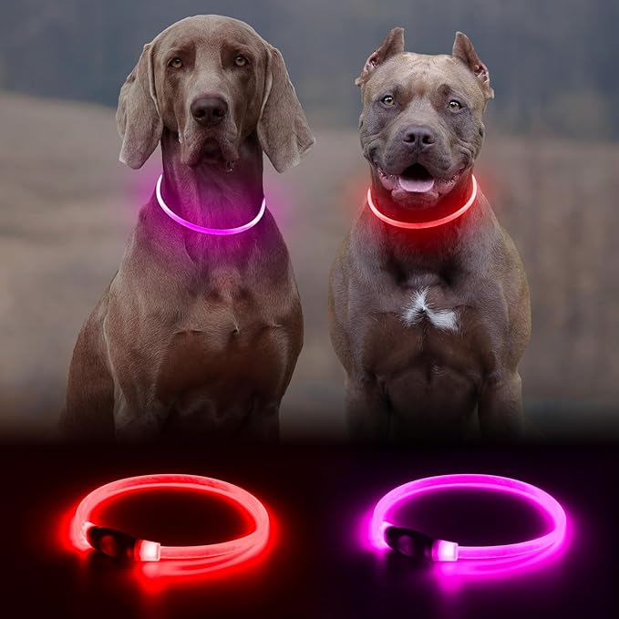 2 Packs Light Up Dog Collar, LED Dog Collar, USB Rechargeable Dog Lights for Night Walking, Adjustable Glow in The Dark Collars for Small Medium Large Dogs, Waterproof Safety Pets Lights Red&Pink