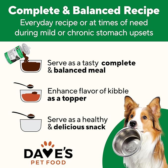 Dave's Pet Food Bland Dog Food (Lamb & Rice), Canned Wet Dog Food for Sensitive Stomachs, Gluten-Free, Digestive Care, 13.2 oz (Case of 12)