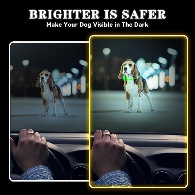 Led Light Up Dog Collar Rechargeable Waterproof, Glow in Dark Dog Collar, TPU Cuttable Lighted Dog Collars for Night Walking Charging USB, Safety for Small Medium Large Dogs Green