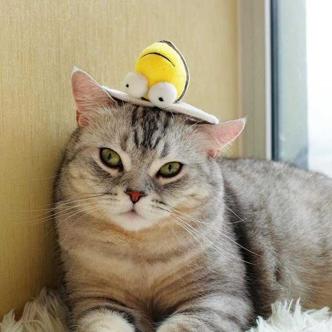 Gigwi Interactive Squeaking Cat Toy,Chirpy Bee Sound Toy for Cats,Melody Chaser Play Squeak Kitten Toys for Boredom