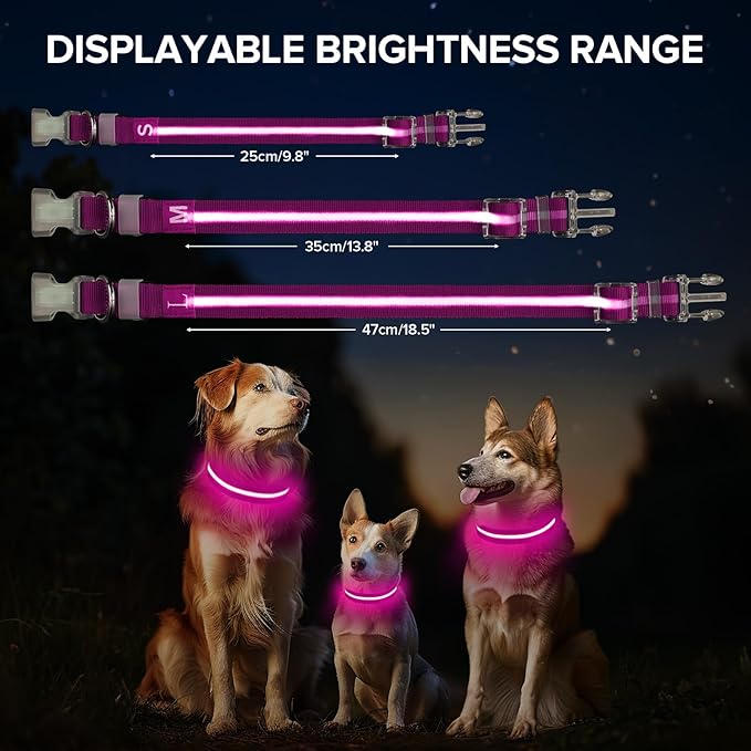 Light Up Dog Collar, Adjustable USB Rechargeable Glow in Dark Dog Collar ,Waterproof Dog Collars for Large Dogs (Pink, Large)