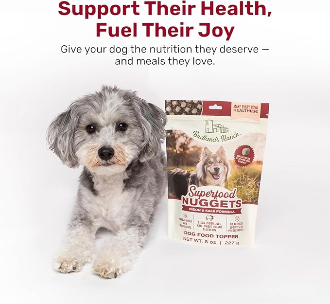 Superfood Nuggets- Premium, Freeze-Dried raw Dog Food Topper or Treat. Powerful Nutrient-Dense Ingredients. No Artificial additives. Bison and Kale Formula 8oz - 4pk Bundle