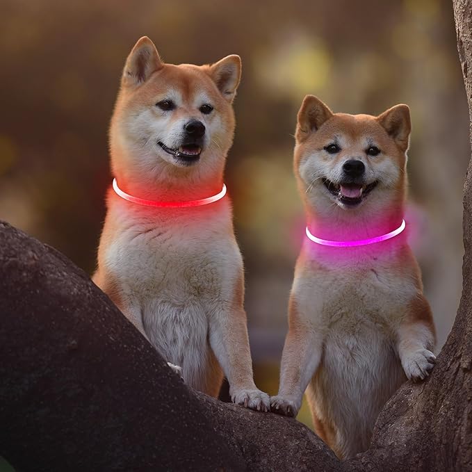 2 Packs Light Up Dog Collar, LED Dog Collar, USB Rechargeable Dog Lights for Night Walking, Adjustable Glow in The Dark Collars for Small Medium Large Dogs, Waterproof Safety Pets Lights Red&Pink