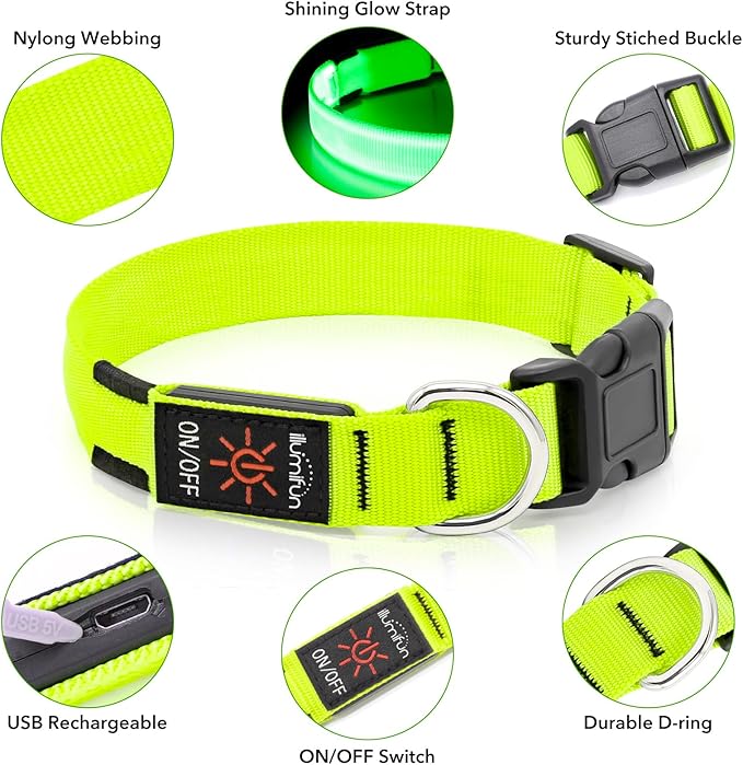 Illumifun LED Collar for Small Dogs, USB Rechargeable Light Up Dog Collar, Flashing Pet Safety Light Glow in The Dark (Green, Small)
