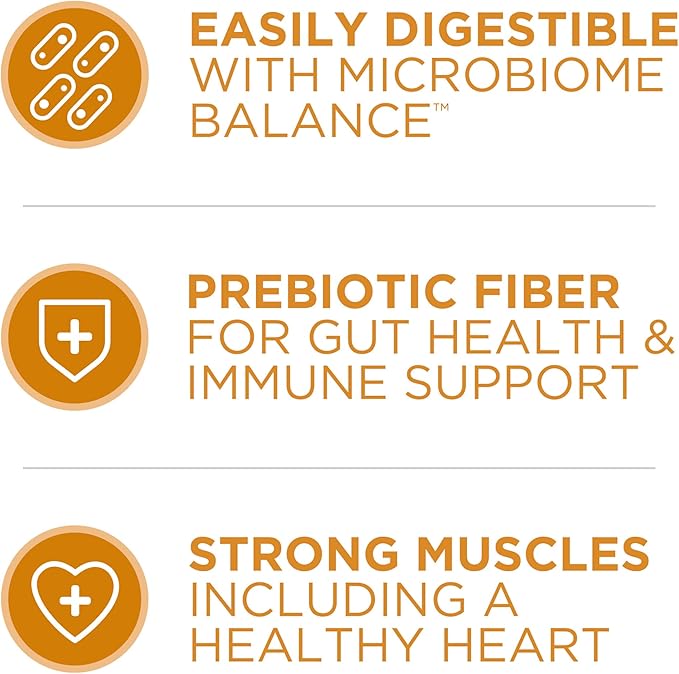 Purina ONE Chicken and Rice Formula Dry Dog Food - 40 lb. Bag