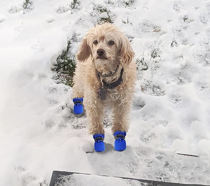 YAODHAOD Dog Shoes for Hot Pavement, Anti-Slip Sole Dog Boots & Paw Protector for Summer, Reflective Straps Dog Booties for Small Medium Dogs, Indoor Use 4PCS (Blue,Size: 6)
