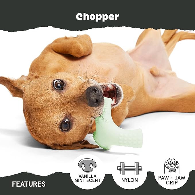 Barkbox Super Chewer Tough Dog Chew Toys for Aggressive Chewers, Dental Stimulating (Chopper - Small)