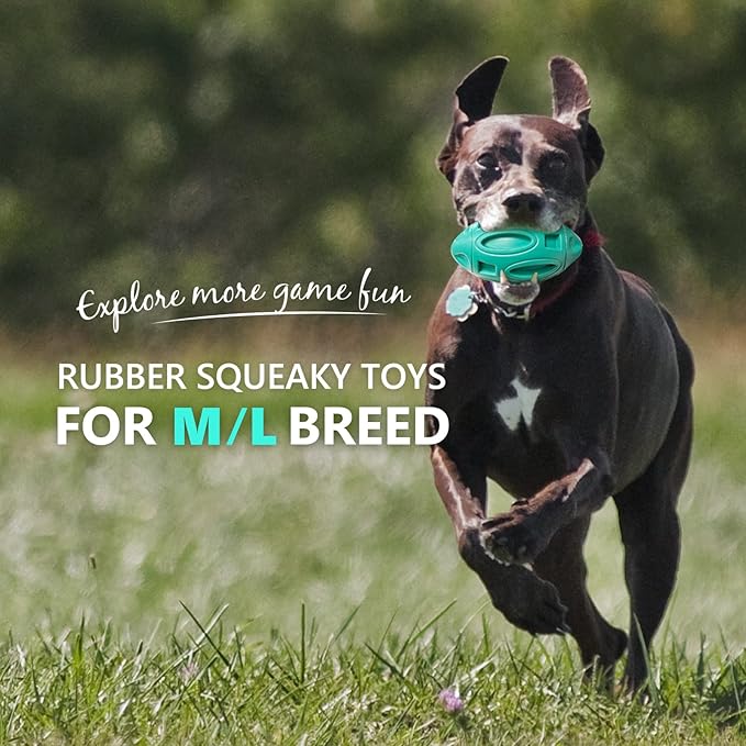 EASTBLUE Squeaky Dog Toys for Aggressive Chewers: Rubber Interactive Puppy Ball with Squeaker,Almost Indestructible Tough Durable Pet Chew Toys for Medium and Large Breed