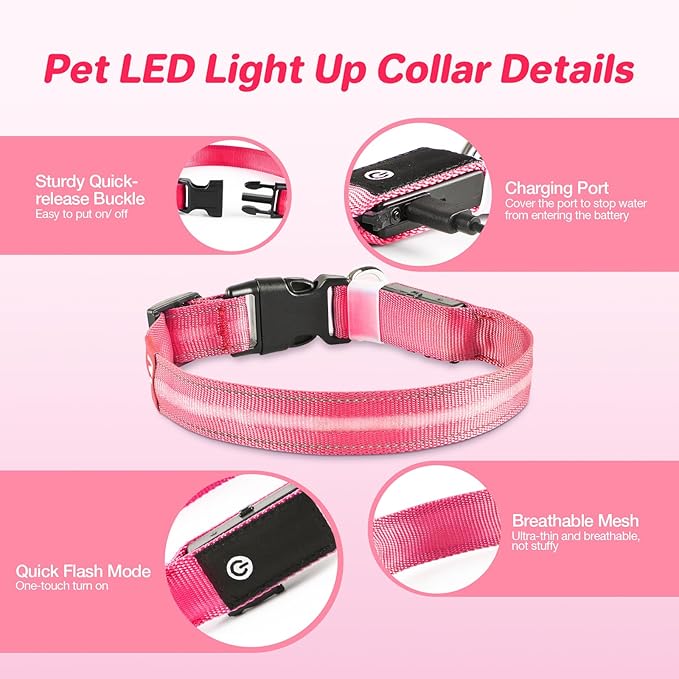 RUXAN Light Up Dog Collar,Dog Lights for Night Walking,LED Collars Waterproof,Glow Dog Collars Rechargeable,Glow in The Dark Dog Collar,Dog Collars Light for Small,Medium,Large Dogs (Small,Pink)