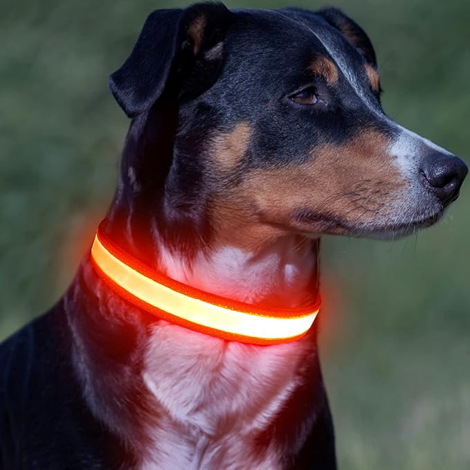 Vizpet LED Dog Collar, Light Up Dog Collar Adjustable USB Rechargeable Super Bright Safety Light Glowing Collars for Dogs(Large,Orange)