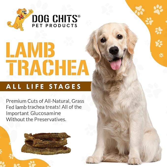 Dog Chits Lamb Trachea for Dogs - Dog and Puppy Chews | Amazing for Joints | Made in USA | Great for Pups Allergic to Beef | All-Natural Treats | Large and Small Breeds | 8 oz. Bag