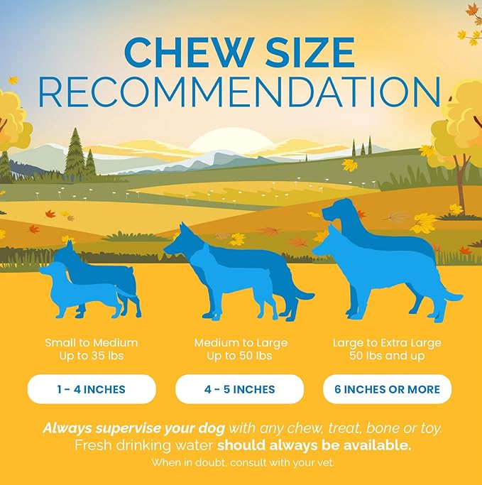 Pig Ears for Dogs, 100% Natural Long Lasting Pork Dog Chews, Ideal for All Chewers, Delicious and Healthy Dog Treats, Half Pig Ears (One Pack of 30)