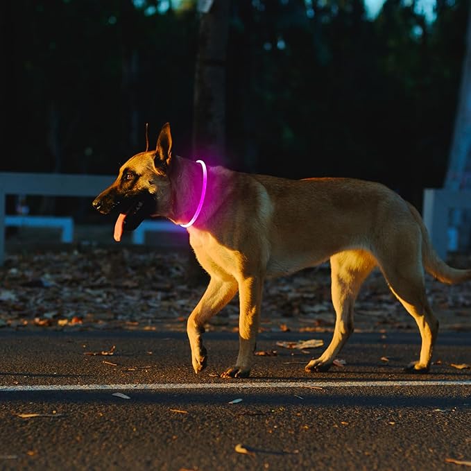 2 Packs Light Up Dog Collar, LED Dog Collar, USB Rechargeable Dog Lights for Night Walking, Adjustable Glow in The Dark Collars for Small Medium Large Dogs, Waterproof Safety Pets Lights Red&Pink