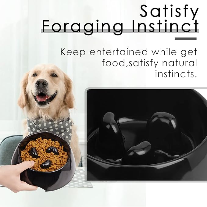SUPERDESIGN Slow Feeder Dog Bowl Cat Bowl 1 Cup Slow Feeding Dog Bowl for Small Medium Breed Anti Gulping Healthy Eating Interactive Bloat Stop Alternative Non Slip Puzzle Dog Food Bowl, Black