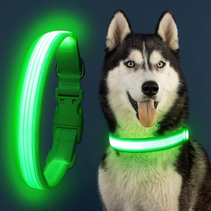 YFbrite Light up Dog Collar, USB Rechargeable LED Puppy Collar Super Bright Adjustable Glowing Dog Lights for Night Walking (Design 2-Green, Medium)