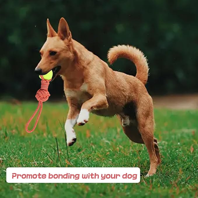 Dog Rope Toy for Medium and Small Dogs Interactive Puppy Toys Tug of War Rope Tether Tug Outdoor Dog Toy 1 Knot Puppy Teething Chew Cotton with Tennis Ball
