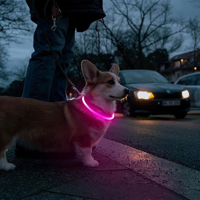 HIGO LED Dog Collar, USB Rechargeable Light Up Dog Collars Glow in The Dark, Waterproof LED Dog Necklace for Your Dogs Walking at Night (Pink)