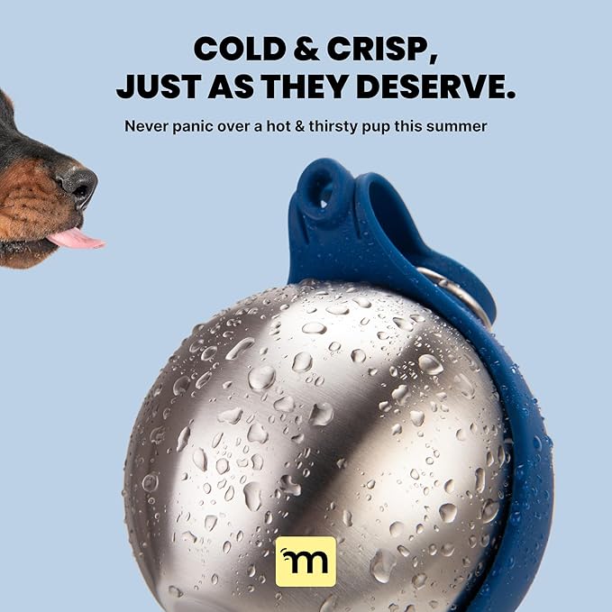 Malsipree 2-in-1 Portable Dog Water Bottle & Bowl for Small Dogs - Leak Proof & Insulating - Travel Water Dispenser - Stainless Steel Bottle & Silicone Bowl - Walking & Hiking (10 fl oz, Navy)