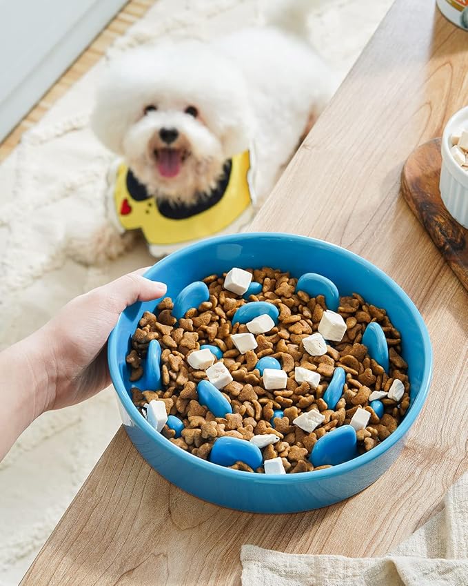 LE TAUCI Dog Bowls Slow Feeder Ceramic, 1.5 Cup Slow Feeding Bowl for Small and Medium Breed, Puzzle Dog Food Bowl for Fast Eater, Vortex Blue