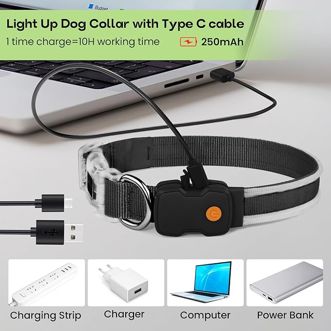 PcEoTllar Light up Dog Collars Rechargeable, LED Dog Collar Night Walking, Waterproof Flashing Glow in The Dark Dog Collars, Adjustable Dog Lights for Large Small Medium Dogs Green-L