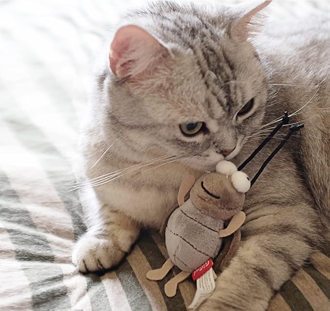 Gigwi Squeaky Cricket Cat Toy,Interactive Cat Toys Electronic Motion Activated Bug Sound,Automatic Cats Play Squeaky Toy for Indoor Fun