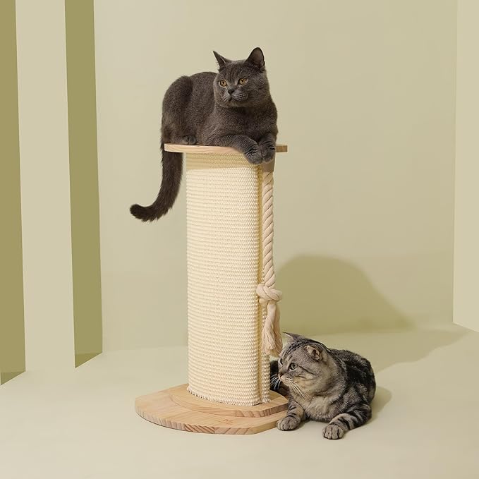 Cat Scratching Post, 23 Inches/58cm Large Cat Scratch Post for Adult Cats and Kittens, Nature Sisal,Wooden Base, Modern Cat Scratcher for Indoor Cats, Protect Your Furniture, Beige