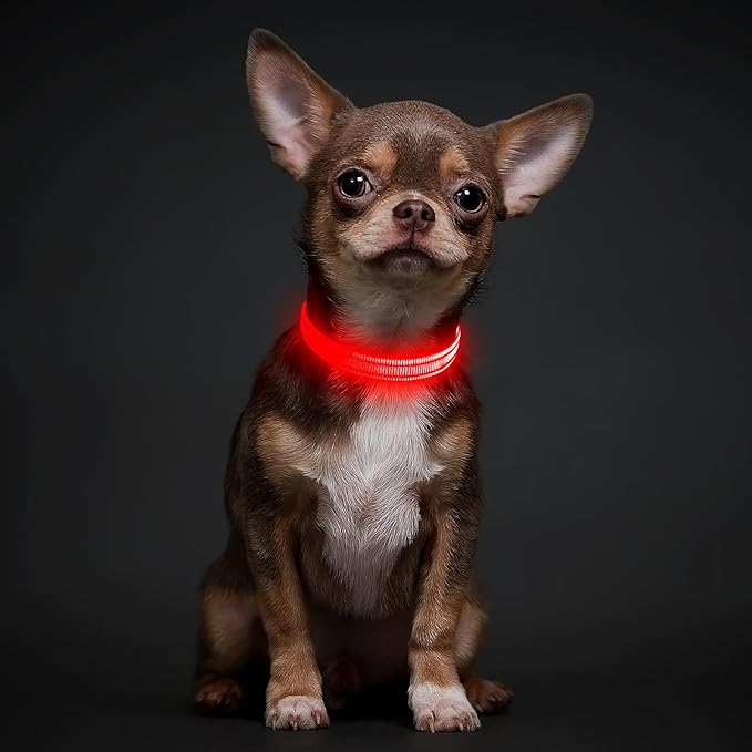 Illumifun Light Up Collar for Small Dogs, USB Rechargeable LED Dog Collar Glow in The Dark, Adjustable Cat Collar Light for Night Walking Camping (Red, X-Small)