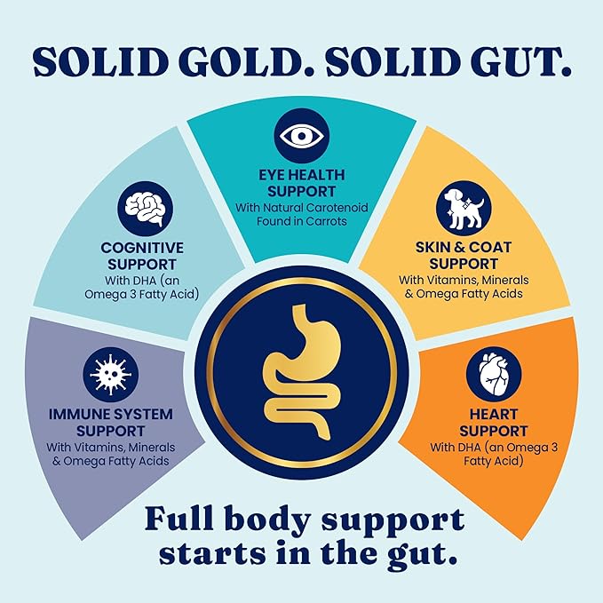 Solid Gold Wet Dog Food Variety Pack for Picky Eaters - Fit & Fabulous Chicken + Leaping Waters Chicken & Salmon Grain Free Canned Dog Food - Made with Real Protein for Sensitive Stomachs - 6 Pack