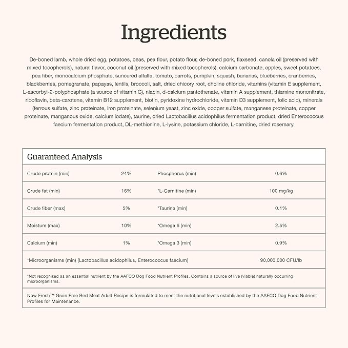 Now Fresh Grain-Free Premium Dry Dog Food with Lamb & Pork, Healthy Kibble for Adults Made with Real Red Meat, Chicken-Free Recipe, Enhanced with Pumpkin & Probiotics for Good Digestion, 22 lb Bag