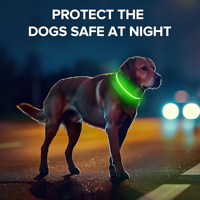 Light Up Dog Collar, Adjustable USB Rechargeable Glow in Dark Dog Collar ,Waterproof Dog Collars for Small Dogs (Green, Small)