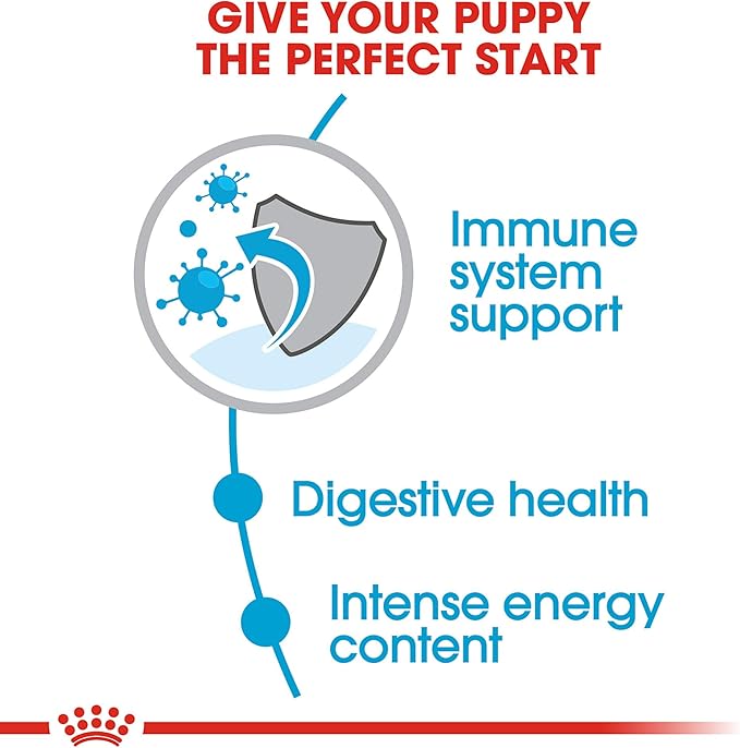 Royal Canin Size Health Nutrition Small Puppy Dry Dog Food, 4 lb Bag