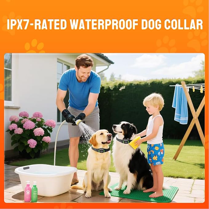 Electric Fence for Dogs. PetHey GPS Dog Collar Fence System,IPX7 Waterproof, 25–999 Yd Adjustable Boundary, Auto Memory Setting,Vibration & Shock Collar for Dogs,Dog Fencing Outdoor for Yard,No Wires