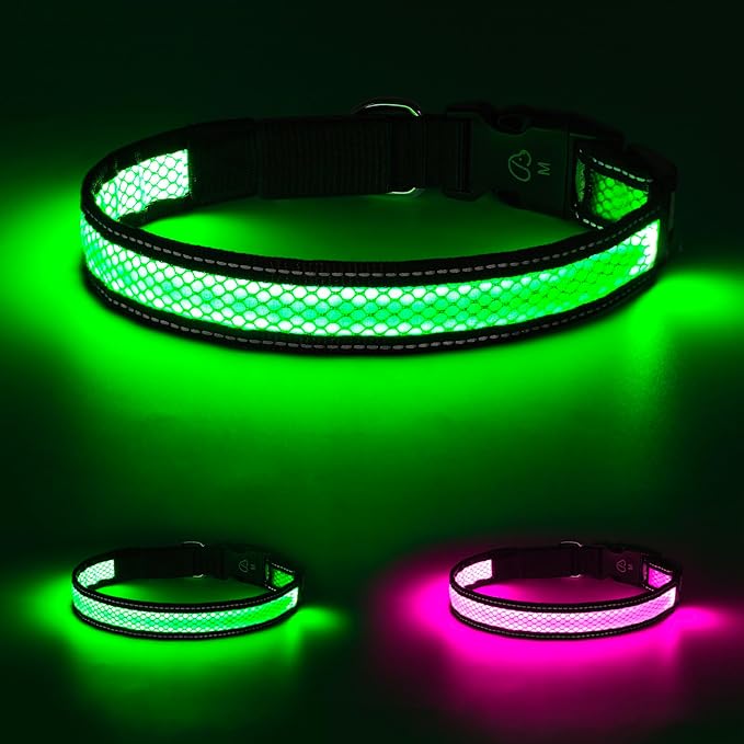 Weesiber Light Up Dog Collar - Reflective LED Dog Collar Rechargeable Glow in The Dark Pet Collar, Safety Doggie Lights for Night Walking(Green, S)