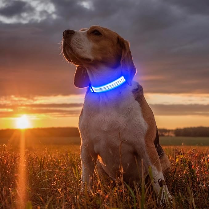 Illumifun Light Up Dog Collar, USB Rechargeable LED Dog Collar, Adjustable Reflective Lighted Pet Collar for Night Walking Camping (BlueⅢ, Large)