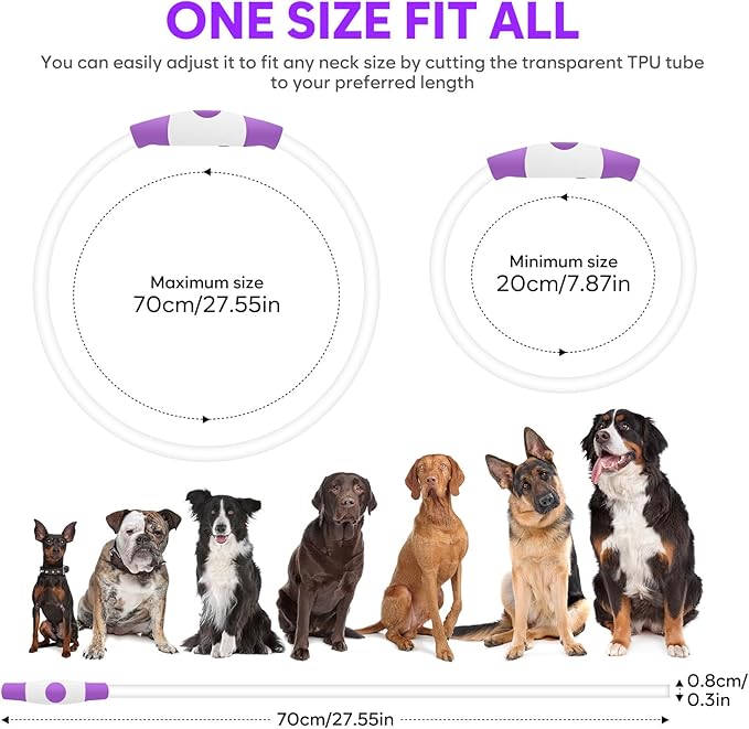 HIGO Light Up Dog Collar, LED Dog Collar for Night Safety with 3 Modes, Type-C Rechargeable & Adjustable TPU Material for Small Medium Large Dogs (Purple)