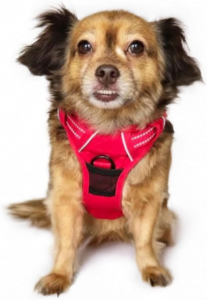 Doggie Design Venture Paw No Pull Dog Harness - Simple Adjustable Puppy Harness - Anti Pull Dog Collar for Walks and Outdoor Adventures - Crimson, S