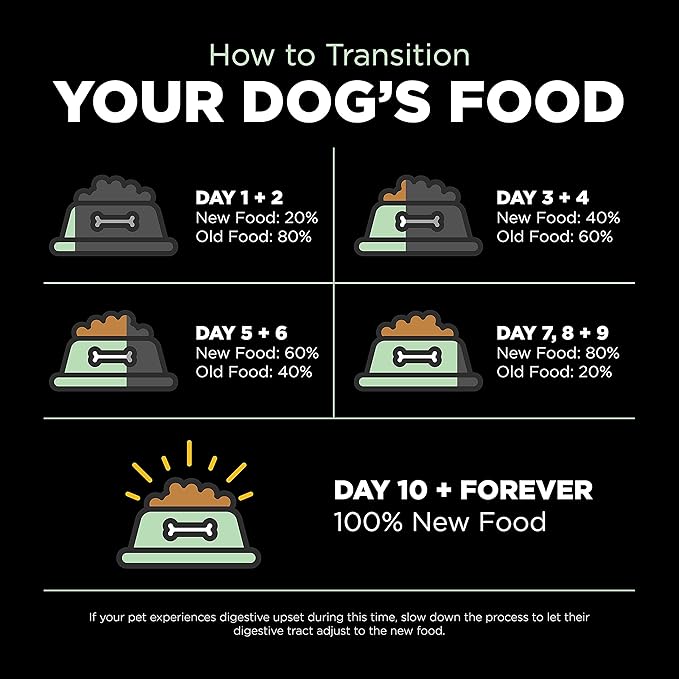 Go! Solutions Skin + Coat Care, Dry Dog Food, Turkey Recipe with Grains, 22 lb Bag