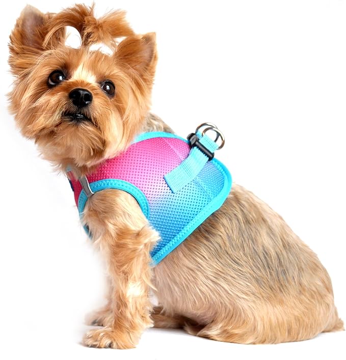 Doggie Design No Choke Dog Harness - Simple Step-in and Go Dog Vest for Small, Medium, and Large Breeds - Breathable Mesh Polyester Pet Harness - Sugar Plum - S
