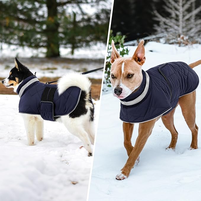 Dog Winter Coat Warm Padded Puppy Jacket Windproof Water Resistant Clothes for Small Medium Large Pets Christmas Sweater Outfit Vest(DarkBlue, M)