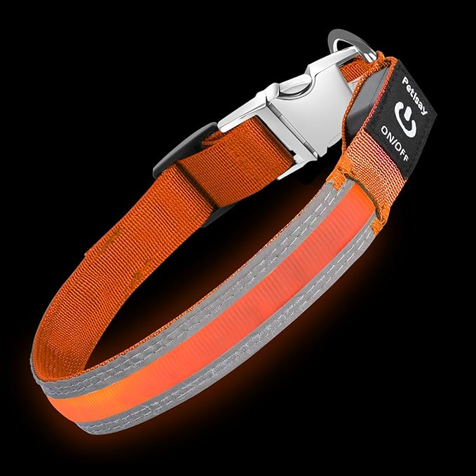 PetIsay LED Dog Collar Metal Buckle - Heavy Duty Light up Collars - Rechargeable IP68 Waterproof - Lighted Dog Collar for Night Walking, Hiking, Camping (Small, Orange)