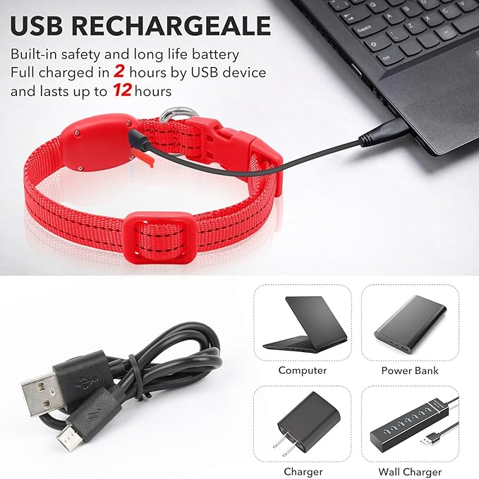 Illumifun Light Up Collar for Small Dogs, USB Rechargeable LED Dog Collar Glow in The Dark, Adjustable Cat Collar Light for Night Walking Camping (Red, X-Small)