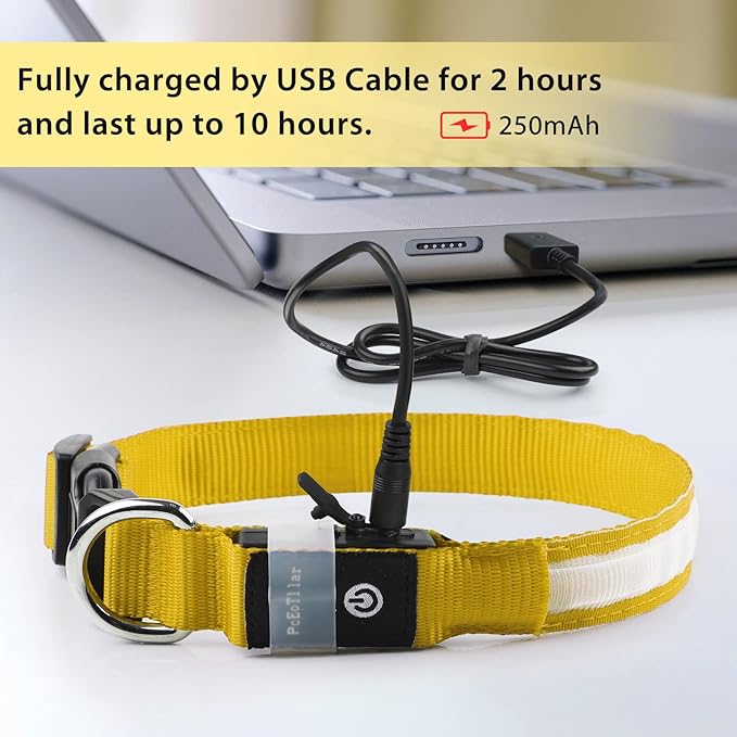 PcEoTllar Light up Dog Collar for Night Walking - LED Dog Collar Light Rechargeable Color Changing, Glow in The Dark Dog Collars Waterproof Glowing Dog Collars for Large Small Medium Dogs