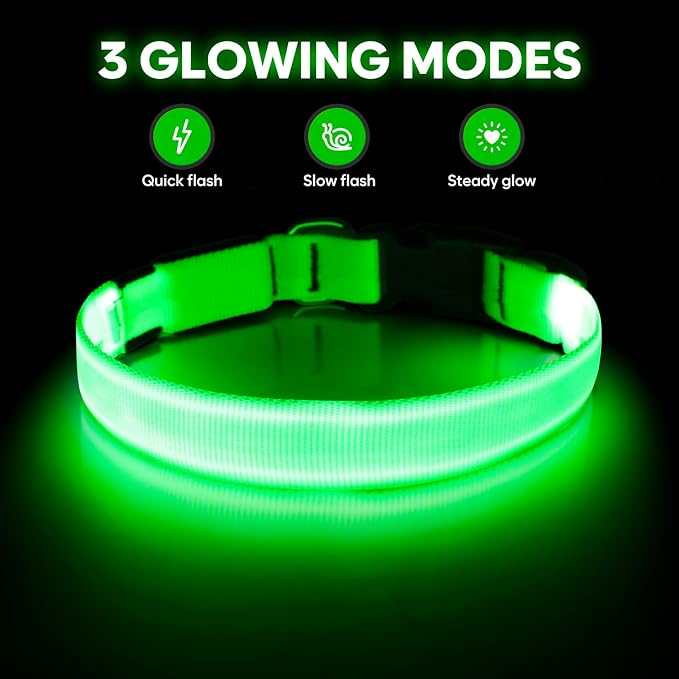 Illumifun LED Collar for Small Dogs, USB Rechargeable Light Up Dog Collar, Flashing Pet Safety Light Glow in The Dark (Green, Small)