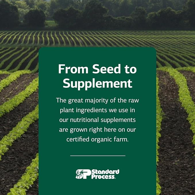 Standard Process Inc. Canine Cardiac Support - Dog Heart Health Supplement - Nutritional Formula to Support Cardiac Function - Pet Health Supplement with Selenium - 25 g